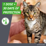 3 Doses Frontline Plus Flea and Tick Treatment for Cats